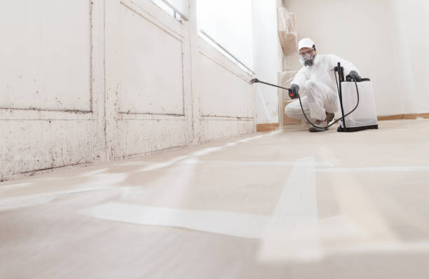 24/7 Emergency Mold Removal experts in Livingston, TN