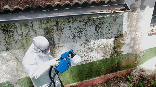 Top rated local Mold Removal specialists in Livingston, TN